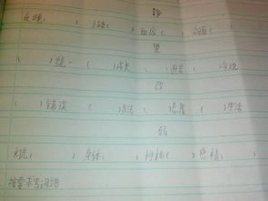 所怎么组词场地
