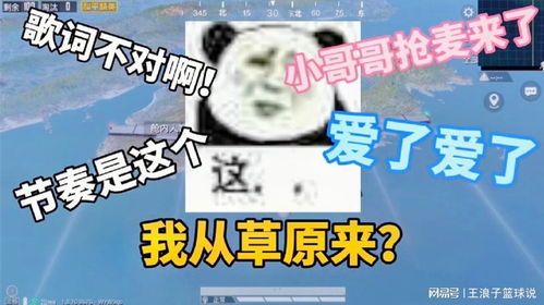 草原姐姐的姐怎么组词