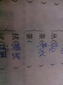 诚这个字怎么读组词