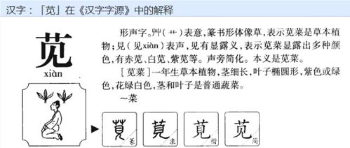 这个n是怎么组词的