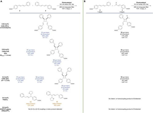 方向的相可以怎么组词