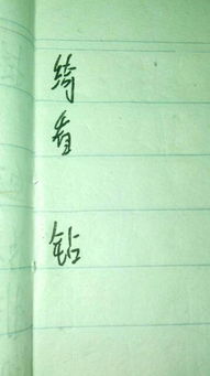 凛能加拼音吗怎么组词