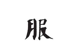 衣服两服怎么组词