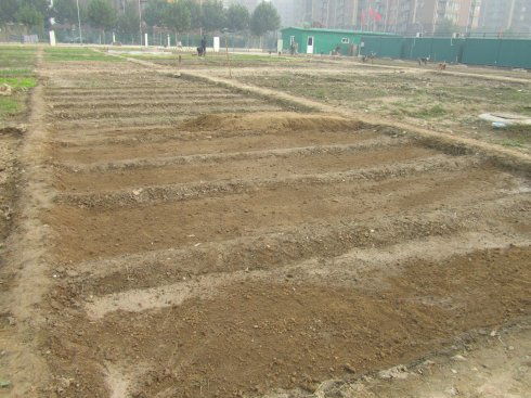 畦的组词 畦的组词