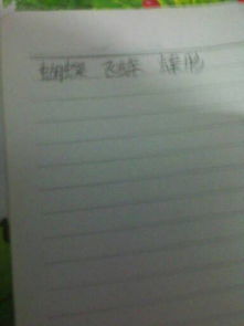 蝴蝶和蚂蚁怎么组词