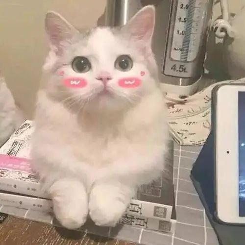 馋小馋猫的馋怎么组词