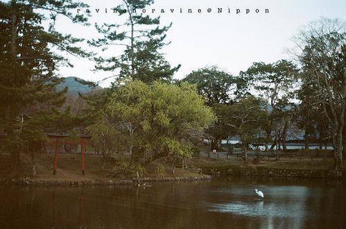 小溪笑嘻嘻的嘻怎么组词 小溪笑嘻嘻的嘻怎么组词