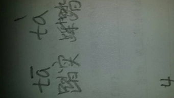 踏步的踏怎么组词组词 踏步的踏怎么组词组词