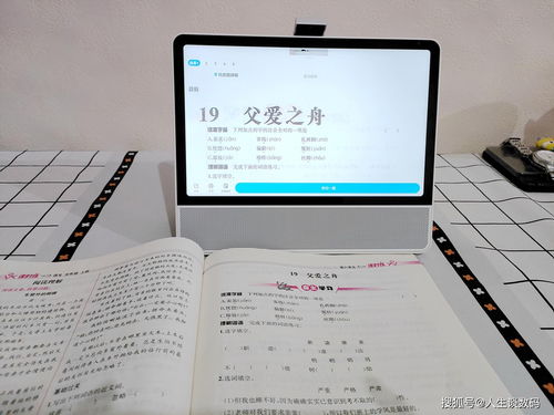 智慧还可以怎么组词