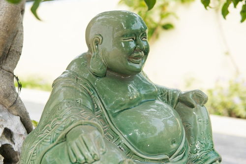 佳怎么组词 佳怎么组词
