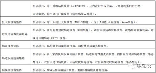 蛋白质的质怎么组词