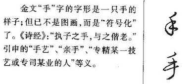 毛怎么组词 毛怎么组词