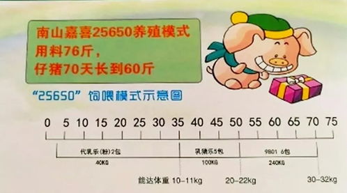 猪长的猪怎么组词