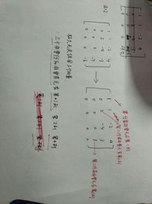 秩组词怎么组 秩组词怎么组