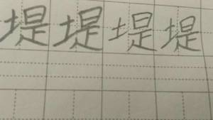 堤的组词是什么