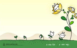 兔子的兔怎么组词