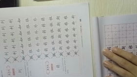 静叶的叶字怎么组词