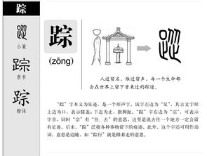 踪迹的踪怎么组词