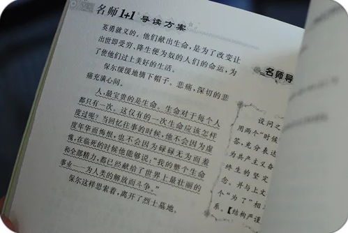 彼此彼怎么组词