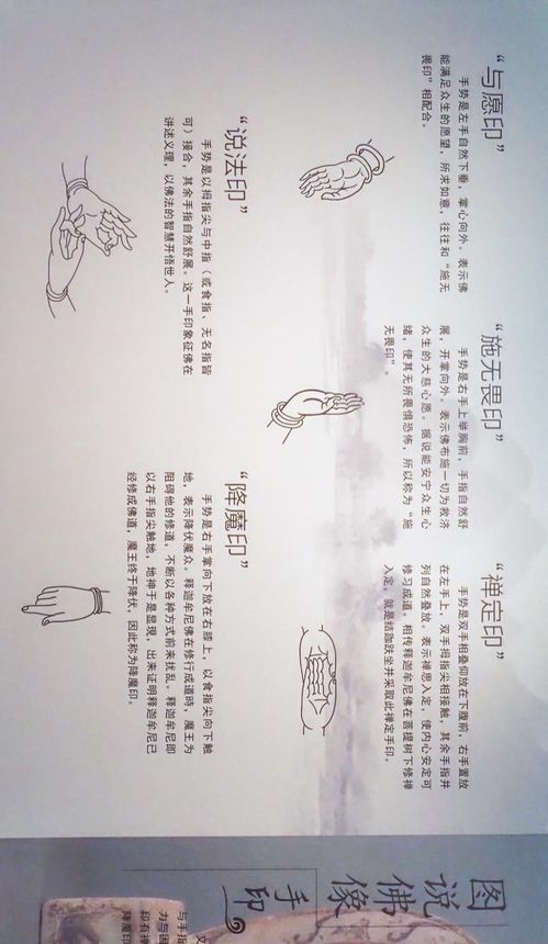 结节怎么组词团结的结 结节怎么组词团结的结