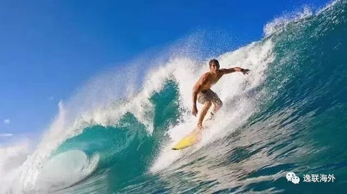 冲浪冲怎么组词 冲浪冲怎么组词