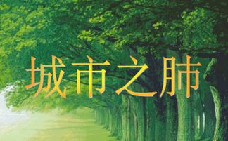 杨蔓的蔓怎么组词