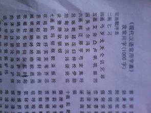 常字组词有哪些