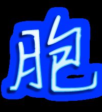 胞能怎么组词 胞能怎么组词