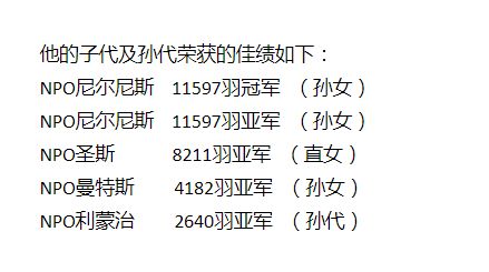 搜鸽的鸽怎么组词