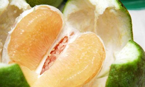 柚子皮怎么组词