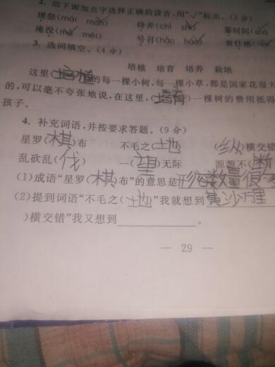 纵横交错怎么组词