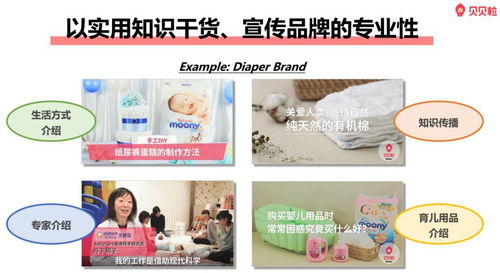 背书的贝贝怎么组词 背书的贝贝怎么组词