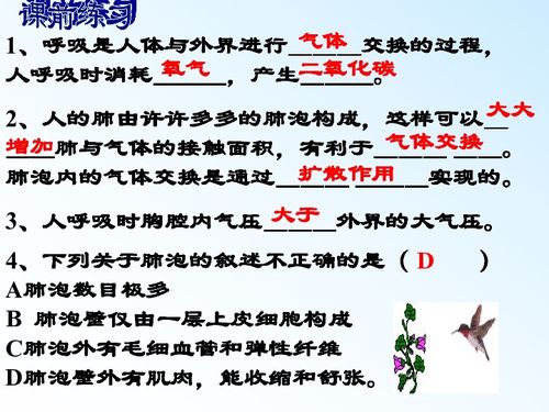 呼吸的呼怎么组词 呼吸的呼怎么组词