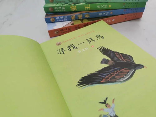 给我讲个鸟怎么组词