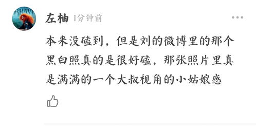 看到没怎么组词 看到没怎么组词