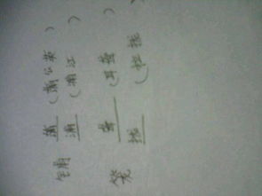 处多音字怎么组词