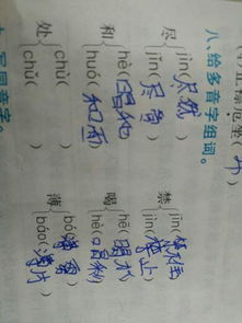 处多音字怎么组词