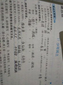 蓄组词怎么组词 蓄组词怎么组词