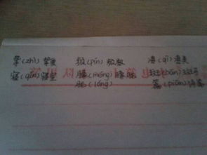 排怎么读组词 排怎么读组词