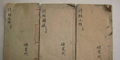 宋朝的孙怎么组词