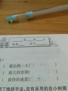 刑是怎么组词的