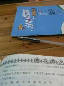 刑是怎么组词的