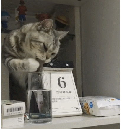 日字旁的猫怎么组词 日字旁的猫怎么组词