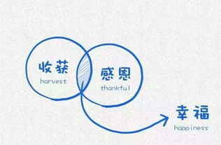 崭新的崭组词