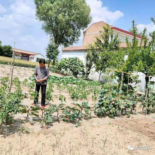 嵊县的县怎么组词和拼音