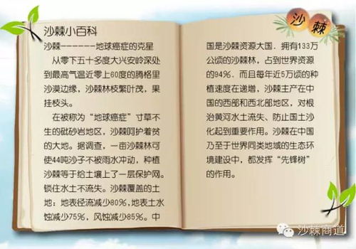 沙棘的沙怎么组词