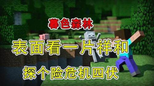 冒险的险组词该怎么组