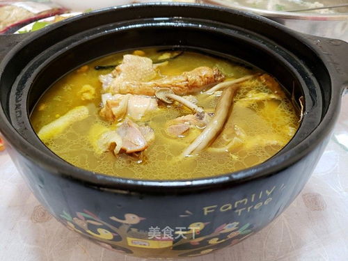 炖鸡的怎么组词