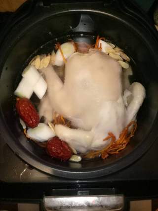 炖鸡的怎么组词