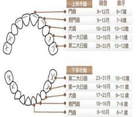 颗牙的颗怎么组词